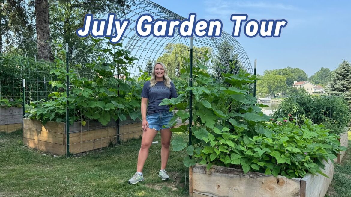 Full Vegetable Garden Tour - July 2025 - Michigan Zone 6a
