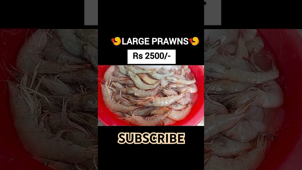Seafood | Prawns #market #price #jeeyaandjeewan #ytshorts #keepsupporting #viralshort #prawns Seafood | Prawns #market #price #jeeyaandjeewan #ytshorts #keepsupporting #viralshort #prawns