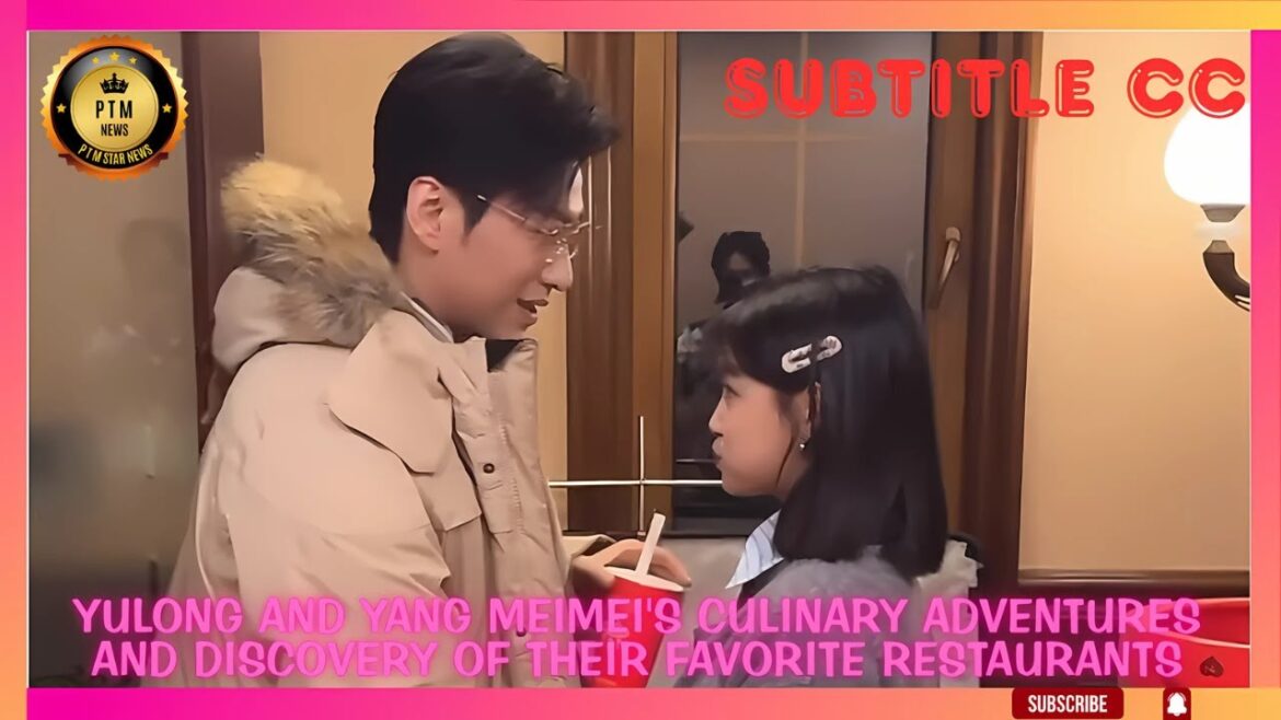 Yulong and Yang Meimei's culinary adventures and discovery of their favorite restaurants