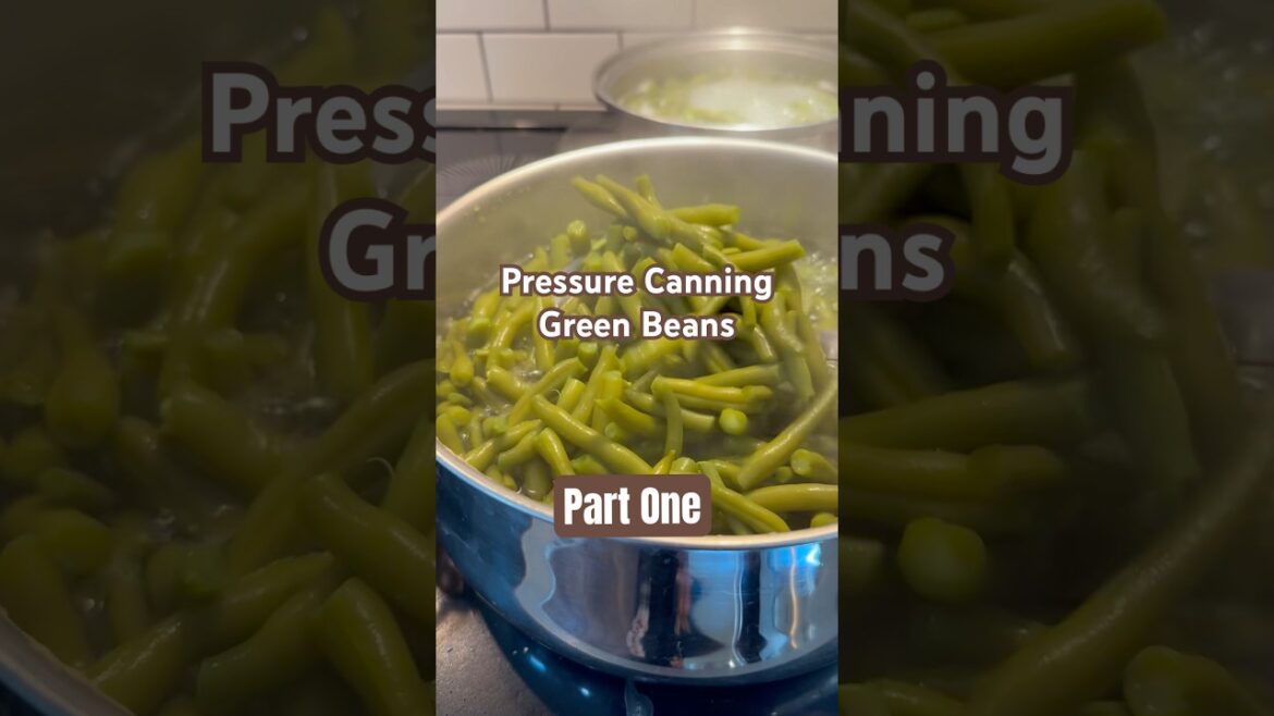 Pressure Canning Green Beans from my Home Vegetable Garden #gardening #foodpreservation #homestead