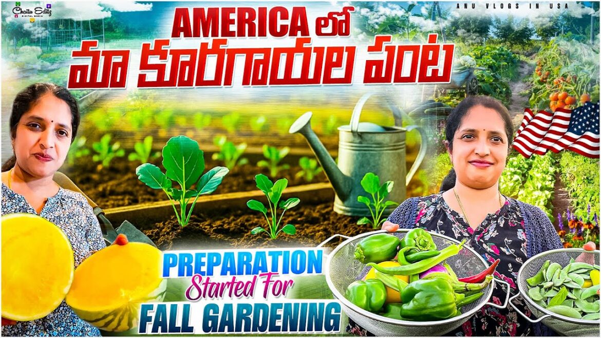 We Grew an Entire Vegetable Garden In Our Backyard!