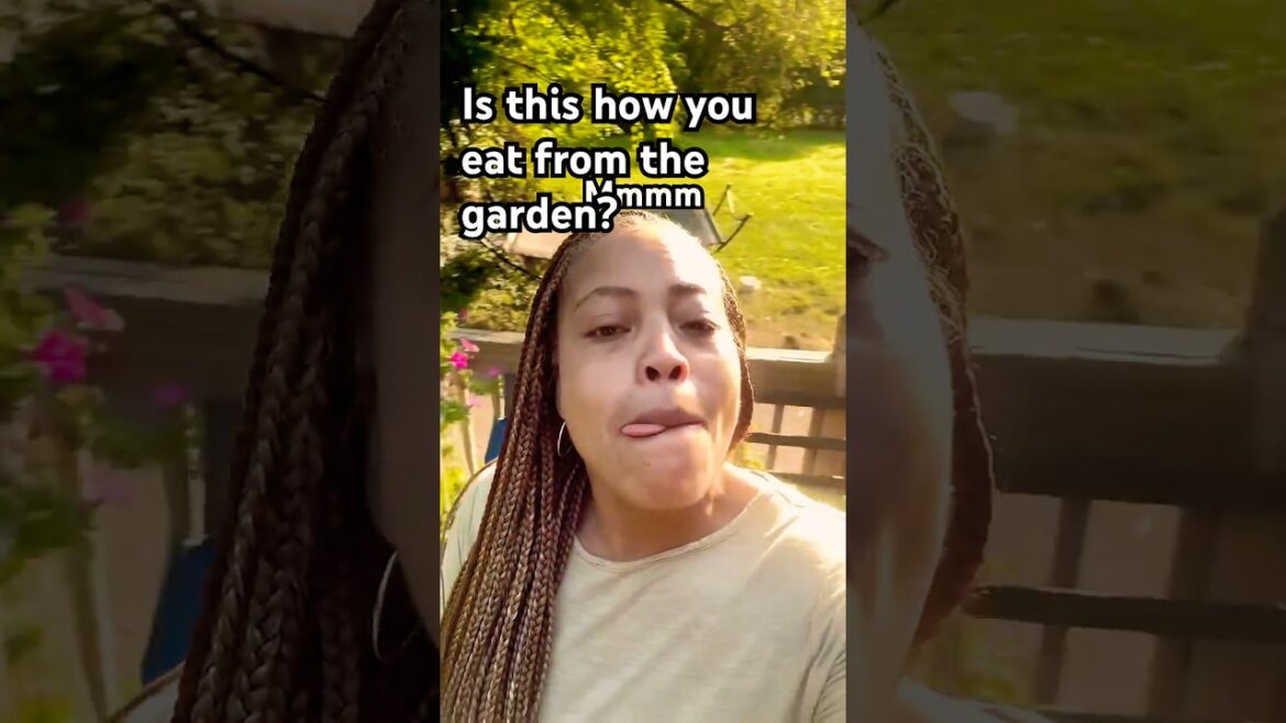 Harvesting from my small container garden Urban gardening  #vegetablegardening #ediblegardening #fyp