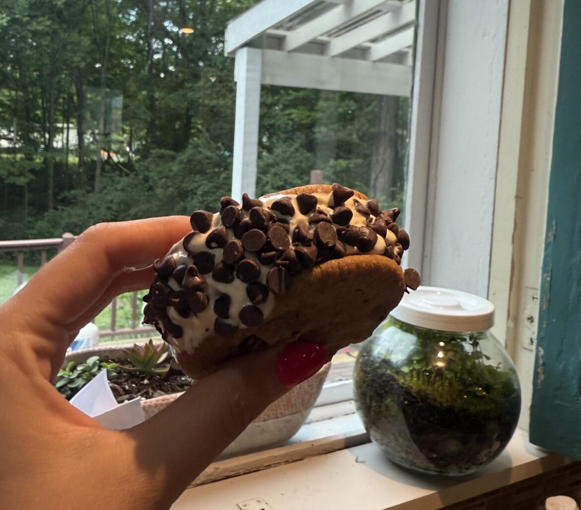 Ice cream cookie sandwich