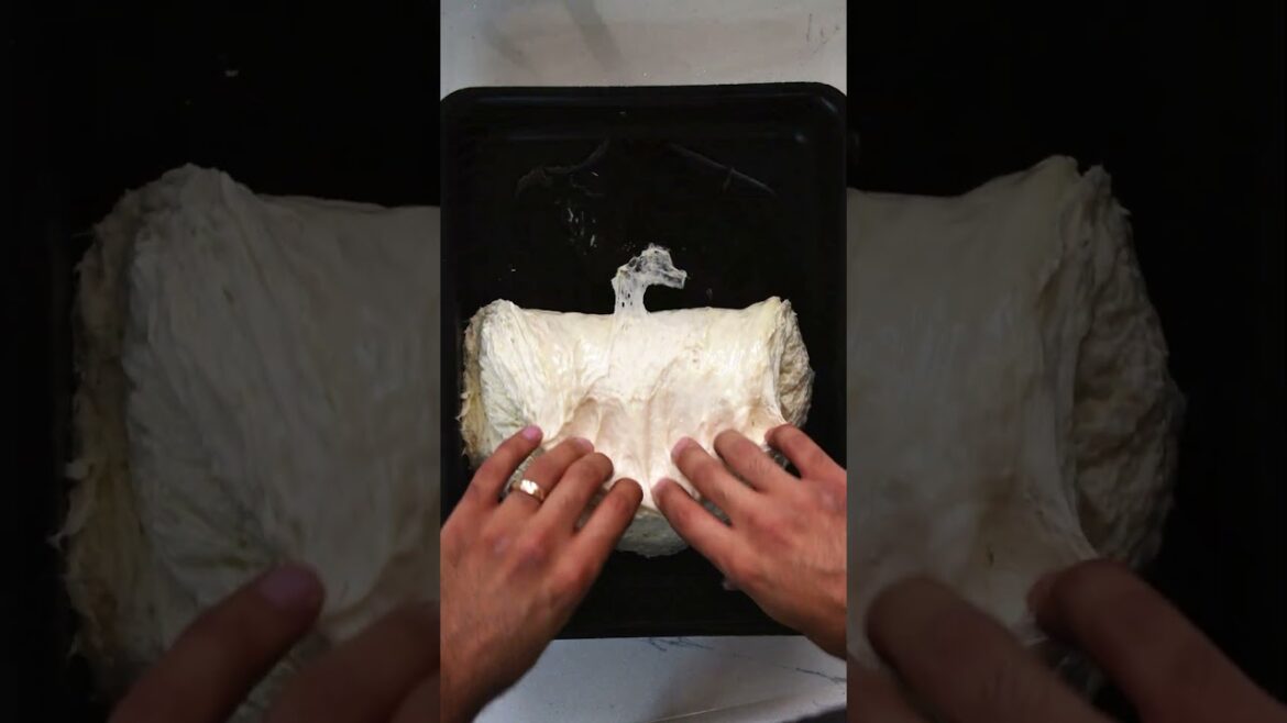 No-Knead Focaccia in 1 Minute – Soft, Crispy & Flavorful!