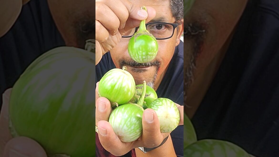 Easy Thai Eggplant Salad Easy Thai Eggplant Salad