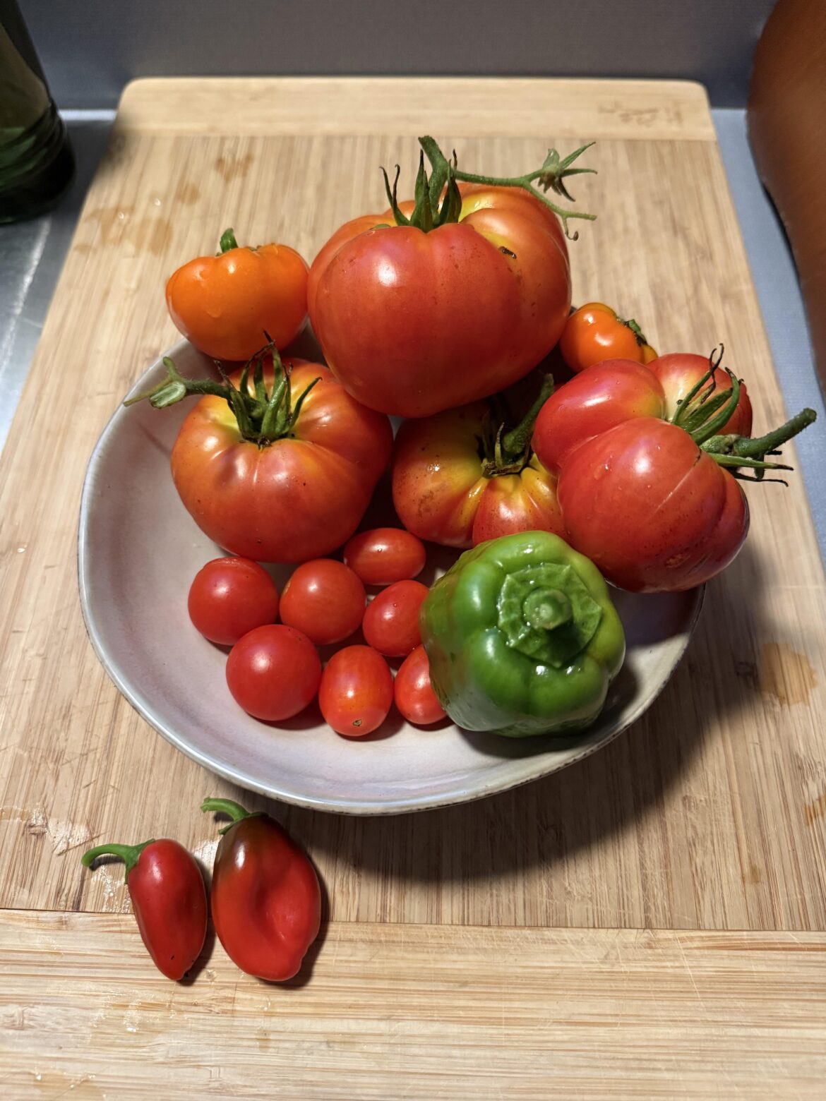 First time gardener and I grew cute things!