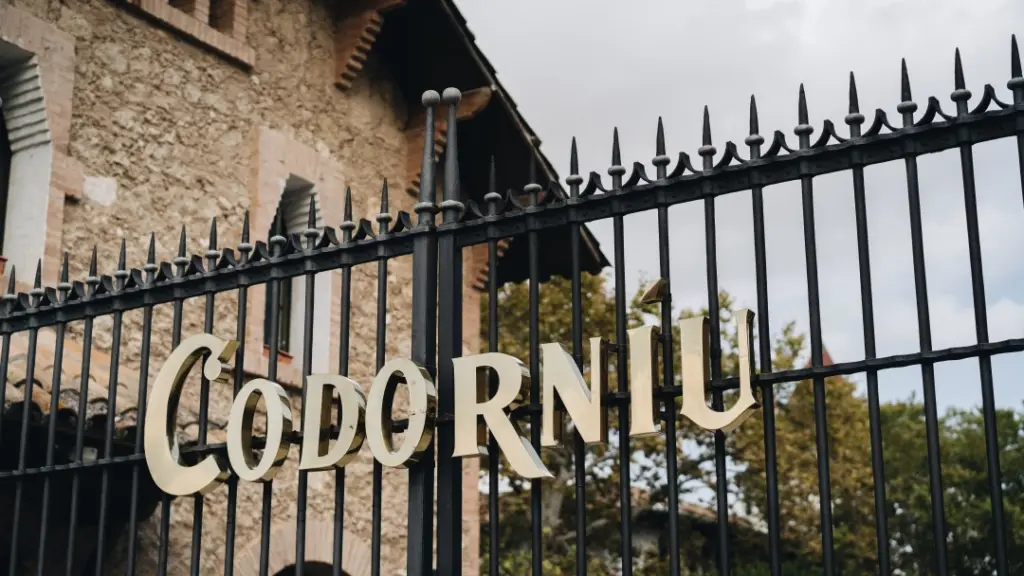 Serendipity Wines Joins Forces with Raventós Codorníu in California