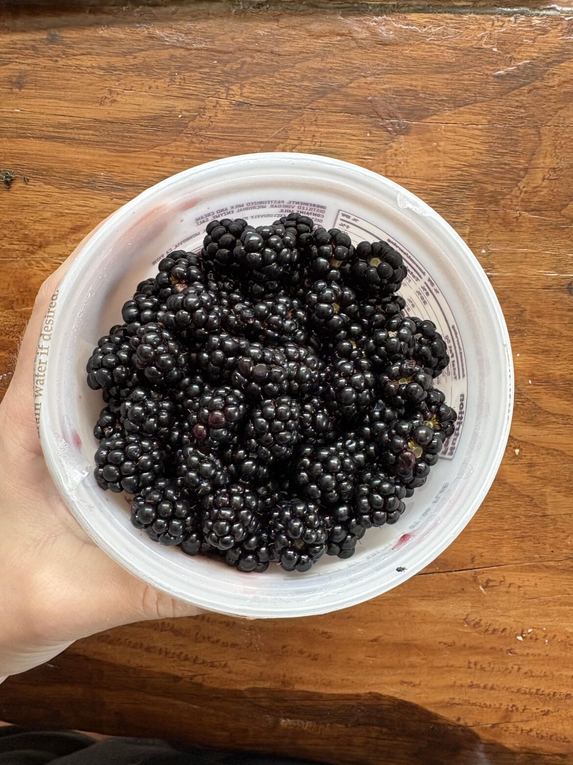 (reverse) cheesecake ripple? (reverse) cheesecake ripple?