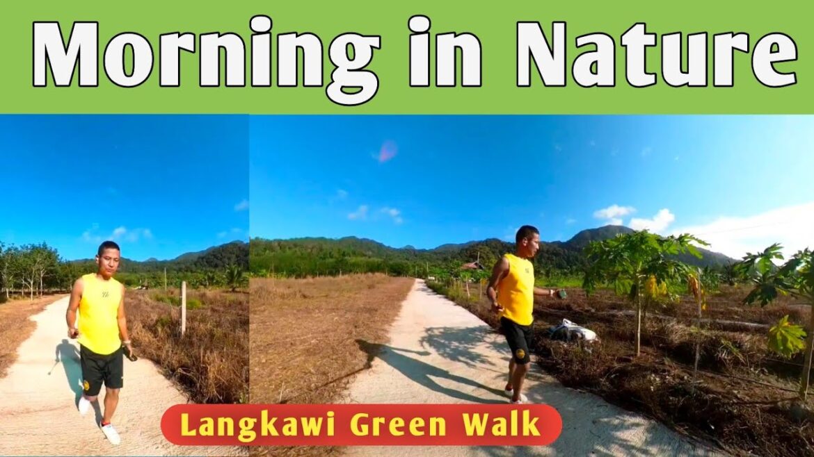 Langkawi Morning Walk to Hidden Vegetable Garden | Beautiful Nature View 2025 | #nature