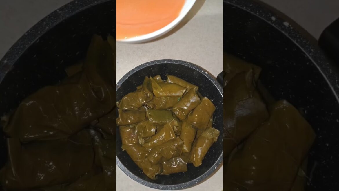 готовим долму. Голубцы из виноградных листьев. Как приготовить долму #долма#маэстроготовит