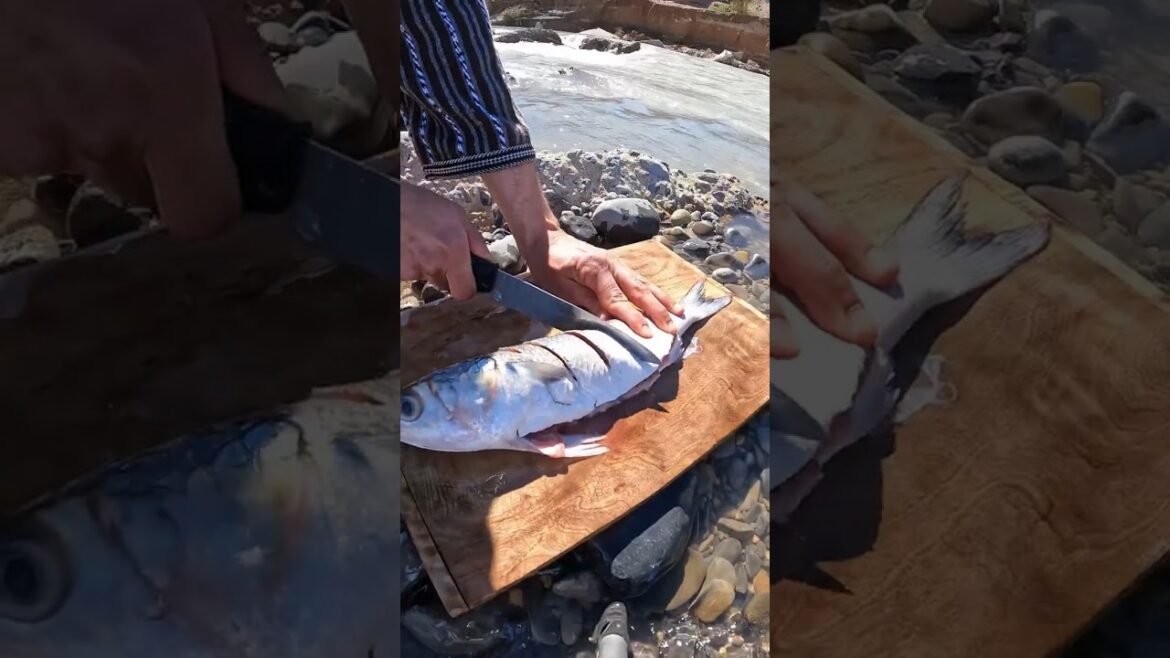 Grilling Fresh Fish Over Firewood | ASMR Outdoor Cooking #cooking #asmr #outdoorcooking