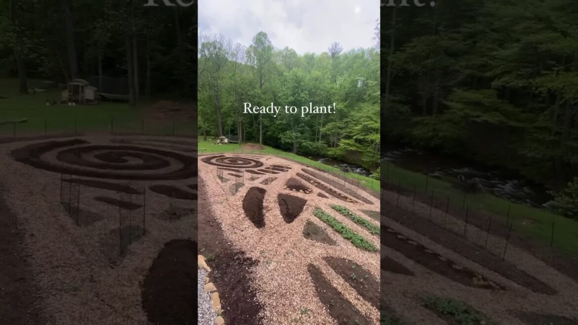 How I built out my Permaculture Garden from Scratch #vegetablegarden #gardendesign