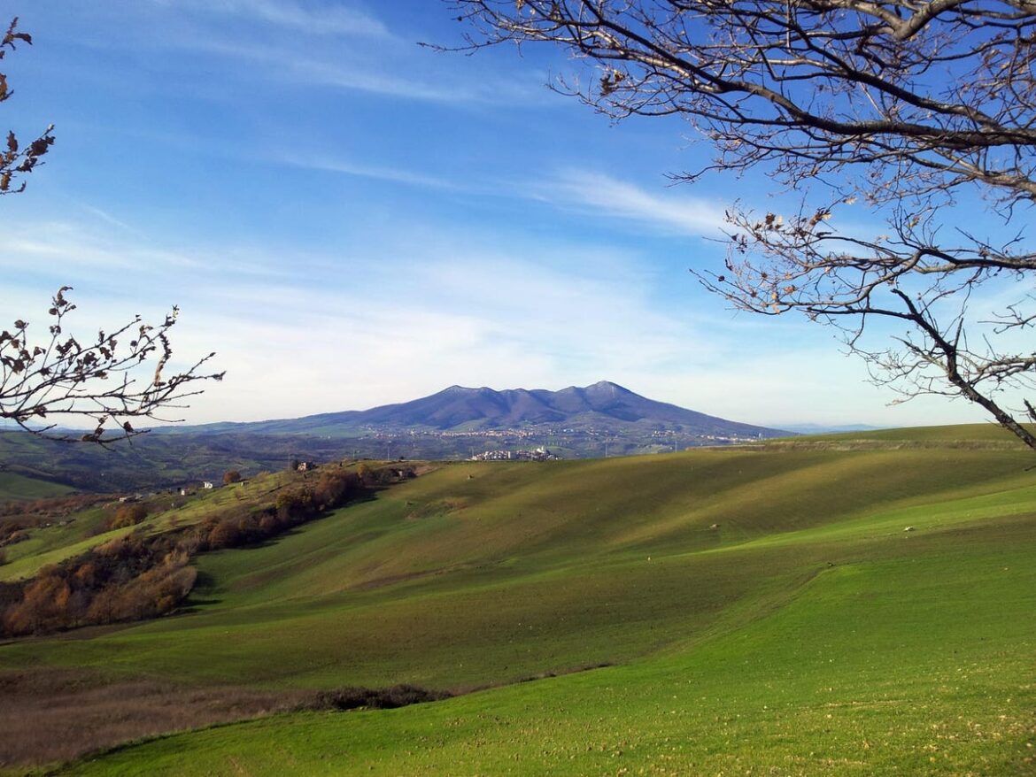 5 Tasty Italian Wine Alternatives To Cabernet Sauvignon 5 Tasty Italian Wine Alternatives To Cabernet Sauvignon