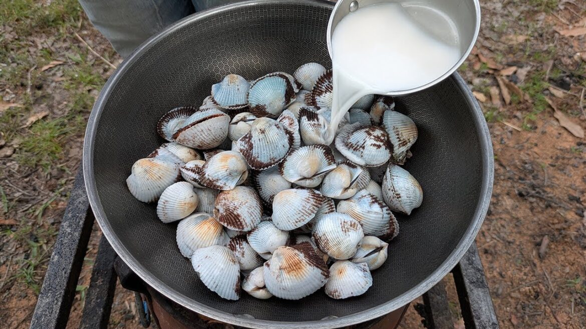 Delicious Clam Fried Coconut Milk Recipe | Curry Clams Cooking and Eating
