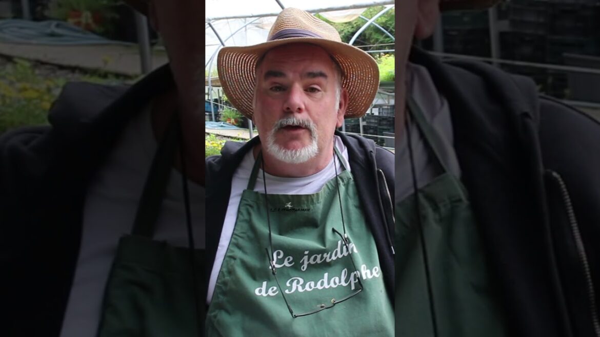 On va tout PERDRE:  partie 4 #potager #jardin#permaculture #garden