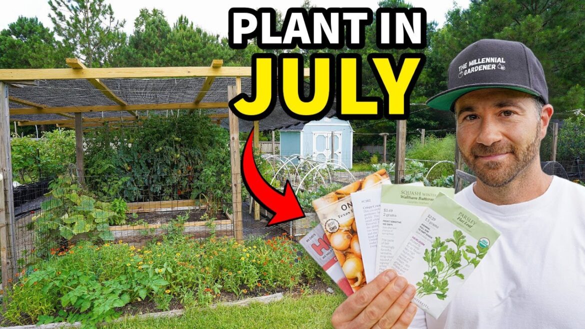 Plant These 10 Awesome Crops In July RIGHT NOW! Plant These 10 Awesome Crops In July RIGHT NOW!