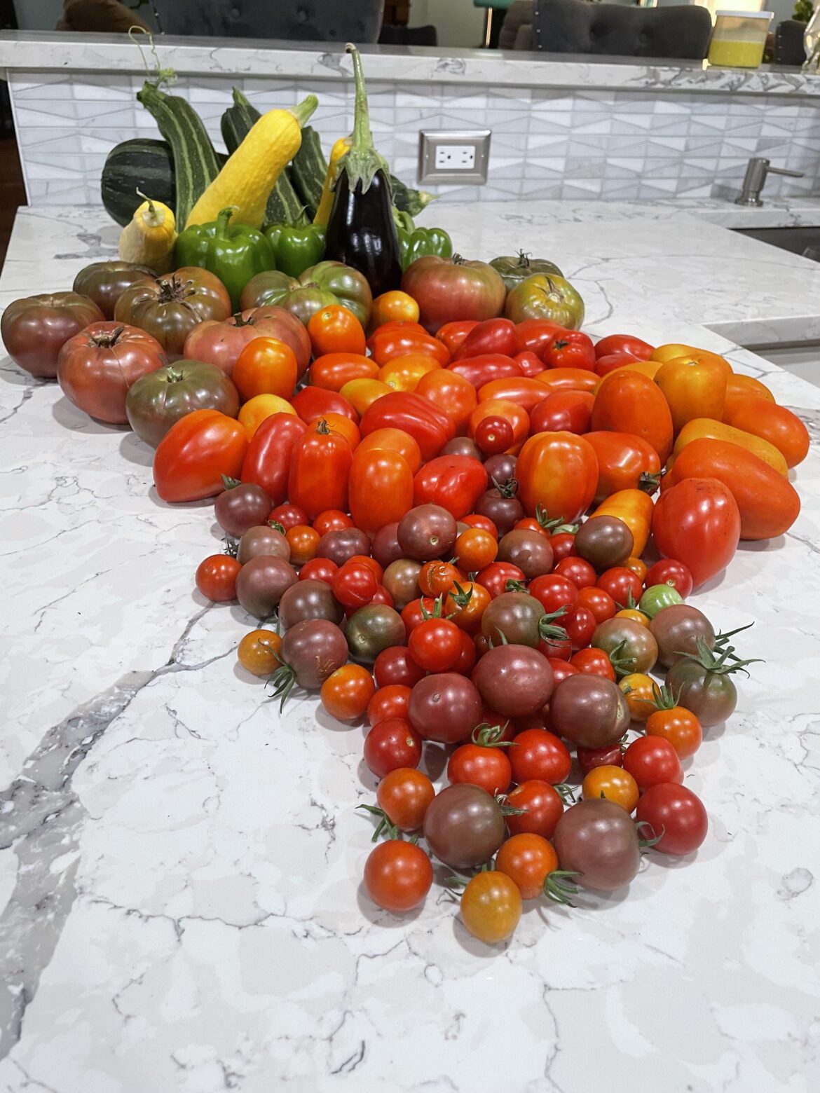 Mom’s toms.. one day harvest.