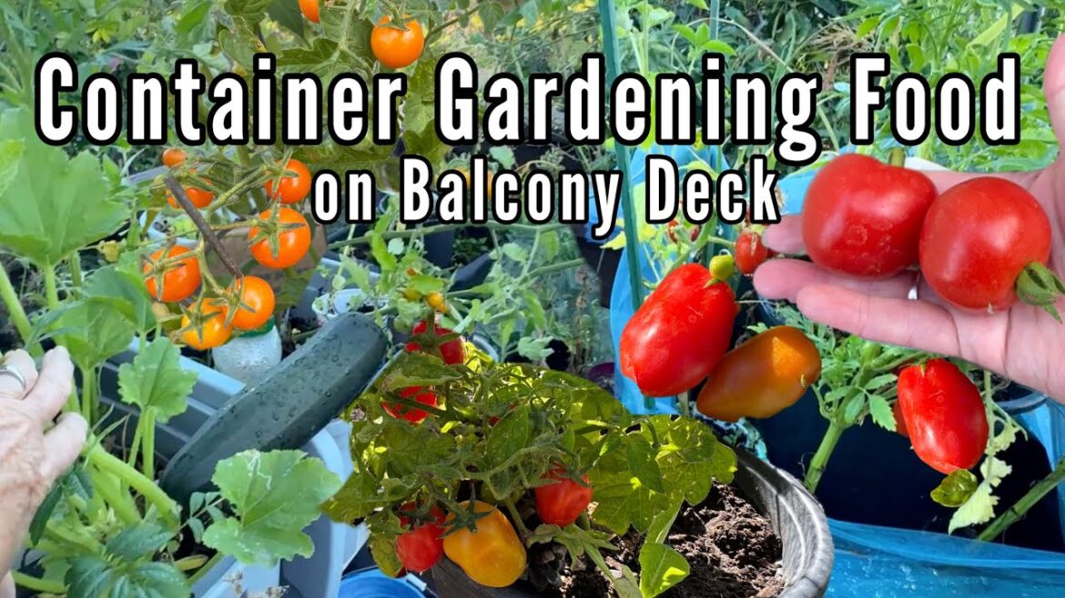 Small Space Vegetable Garden on Balcony Terrace Deck Growing Food Herbs Flowers, Hummingbird Feeders
