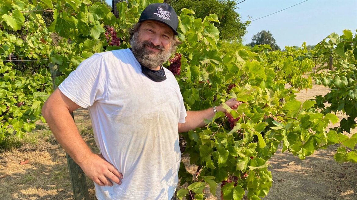 Adam Sabelli-Frisch Makes Wine from California Heritage Grapes Adam Sabelli-Frisch Makes Wine from California Heritage Grapes