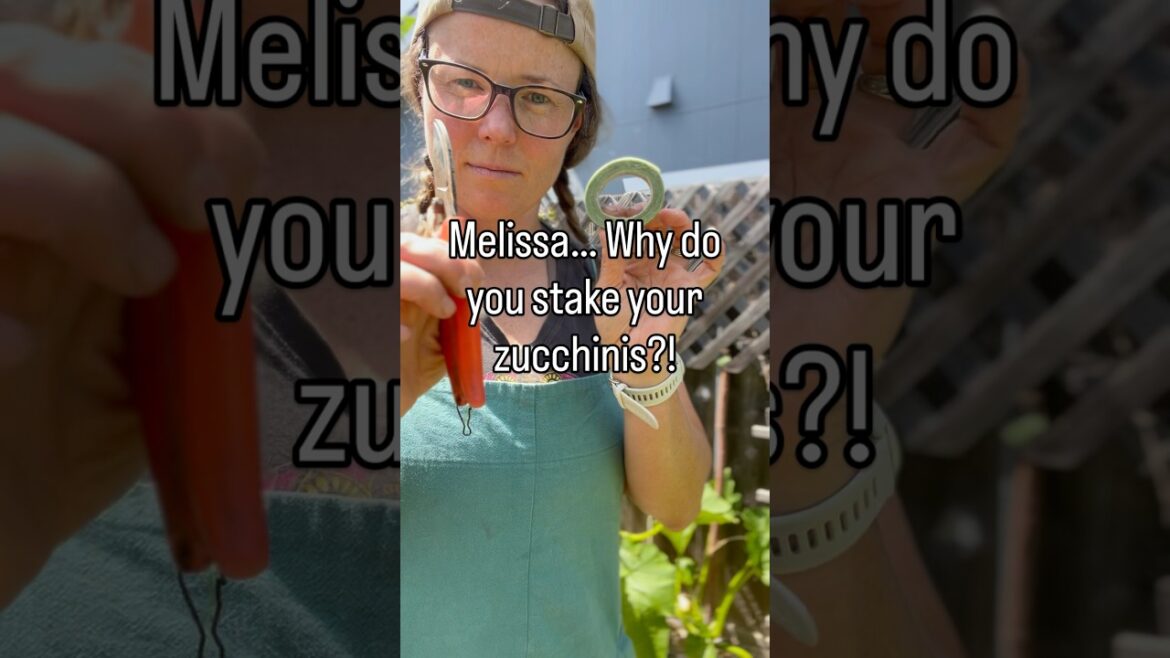 This is a must in our garden. #verticalgardening #howto #zucchini #vegetablegarden