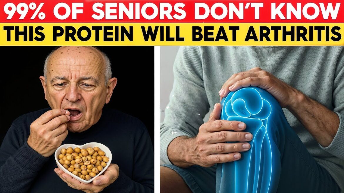 Top 3 Plant-Based Proteins for Arthritis Relief Soothe Pain & Inflammation Naturally! Top 3 Plant-Based Proteins for Arthritis Relief Soothe Pain & Inflammation Naturally!