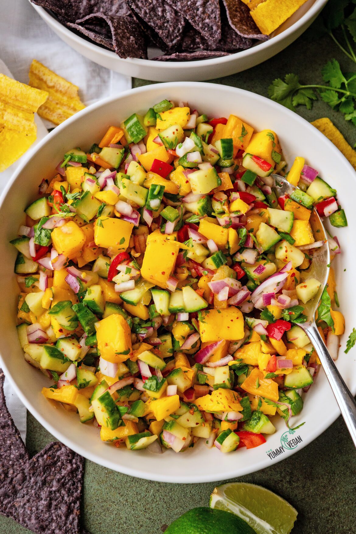 Mango Salsa (recipe in comments)