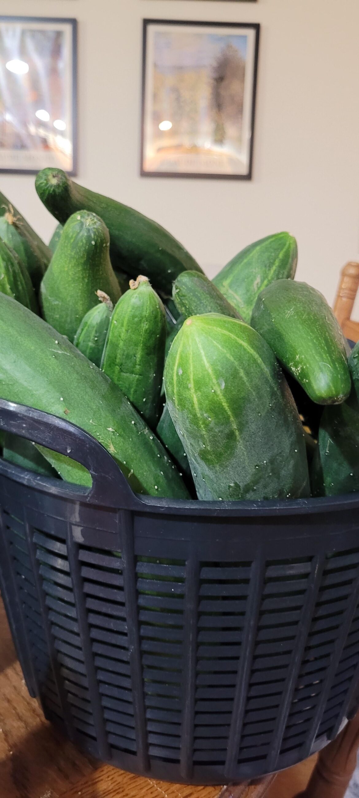 I need ideas for what to do with my cucumbers!