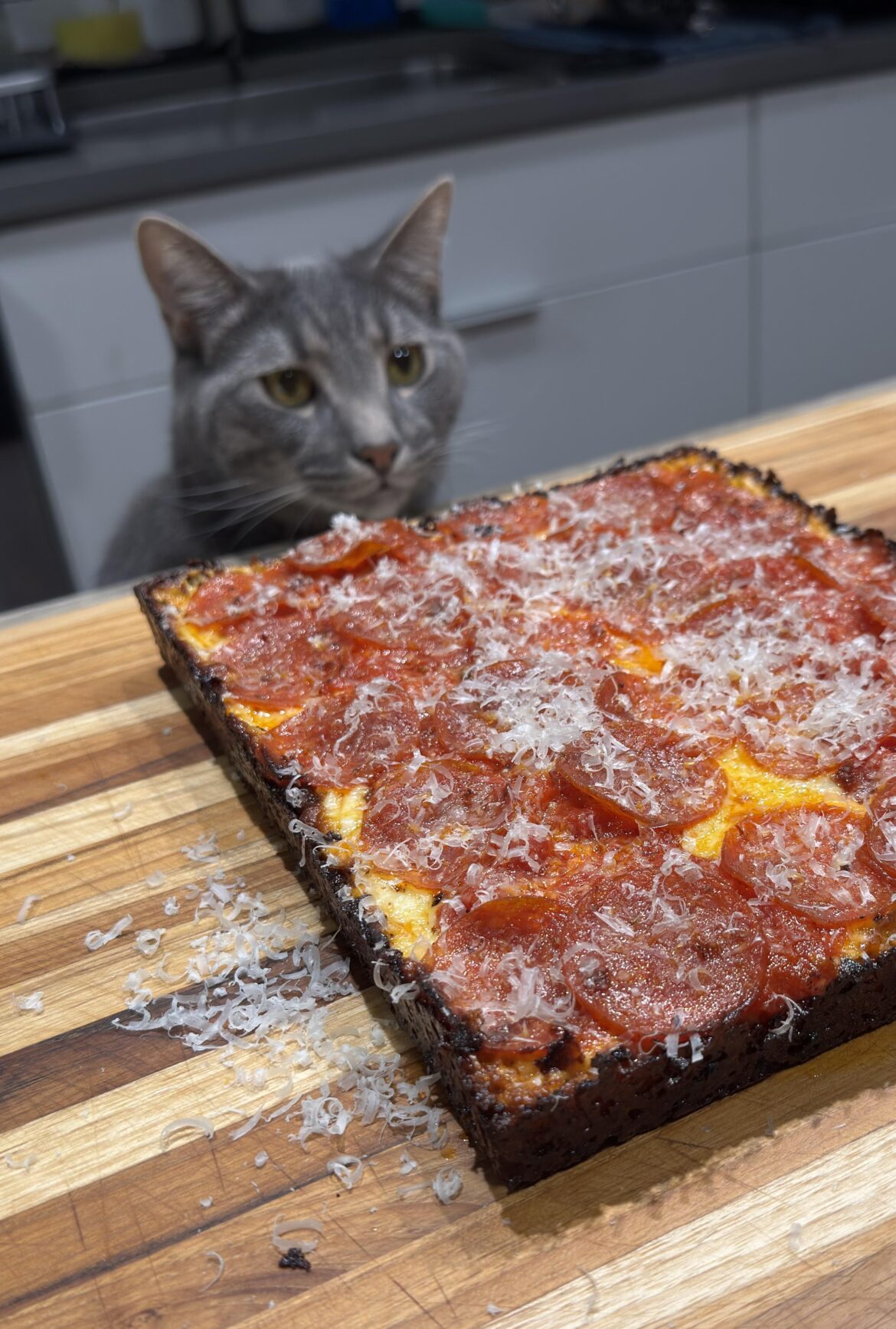 [homemade] detroit style pizza and my cat