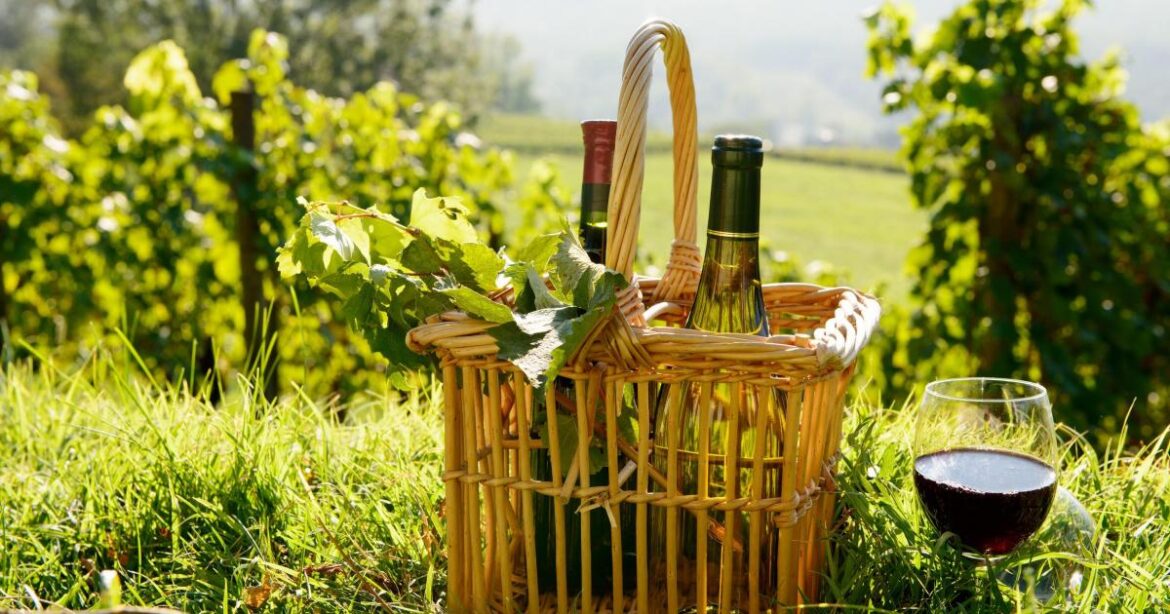 One of the best cabernets I’ve ever tasted is still out there One of the best cabernets I've ever tasted is still out there