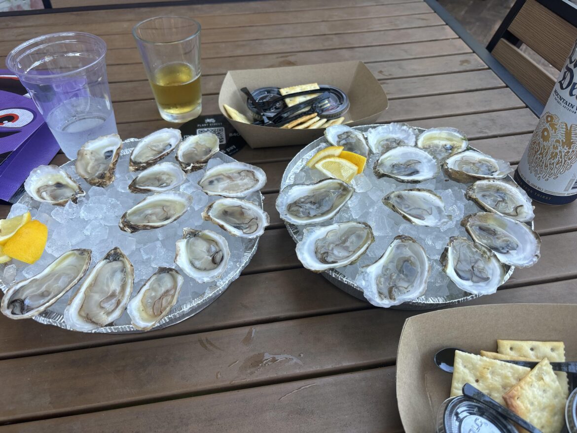 Oysters and Beer!