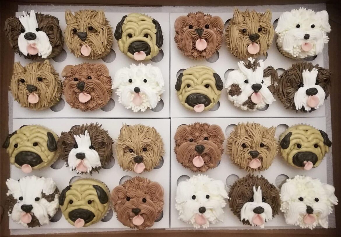 Buttercream pupcakes!