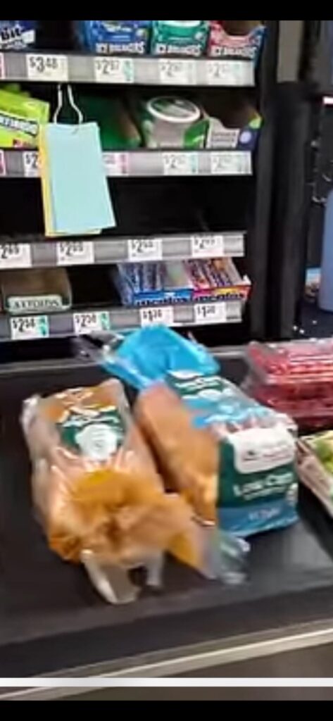 anyone recognize this bread? it's 30 cals supposedly but i could only take blurry screenshots