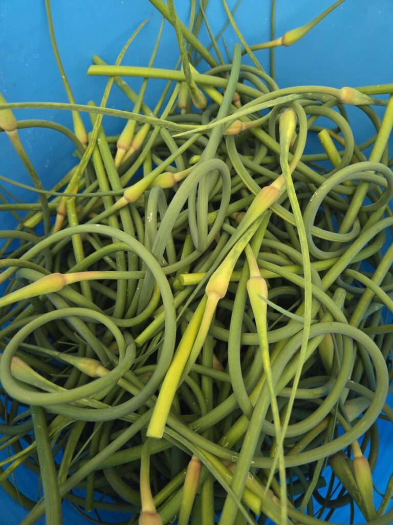 Scapes were made for this! *drool*