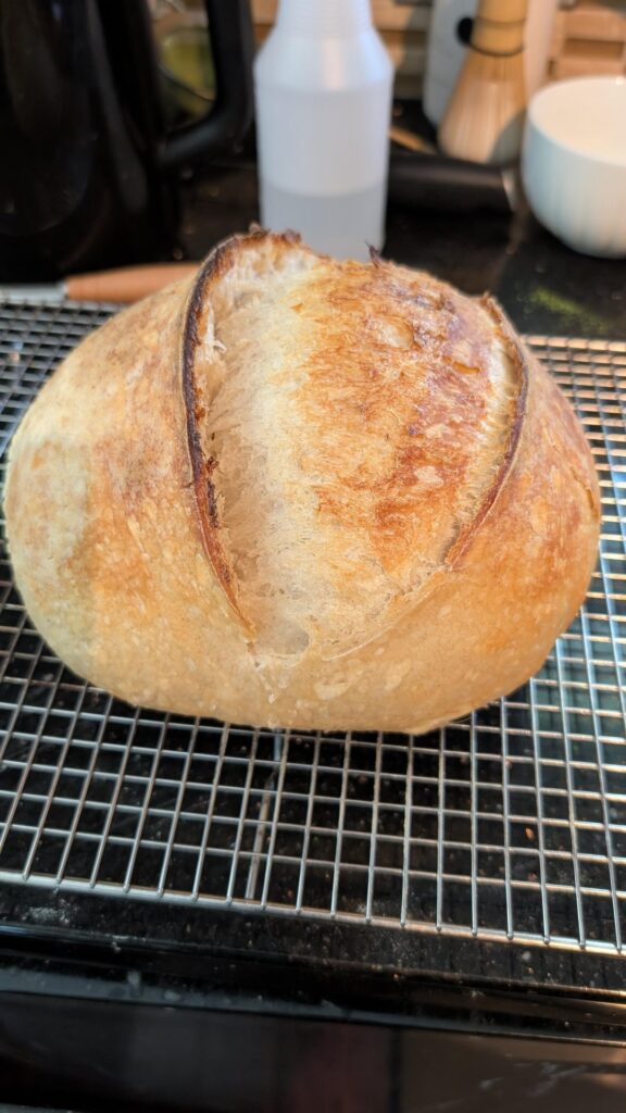 First loaf I'm proud enough to share