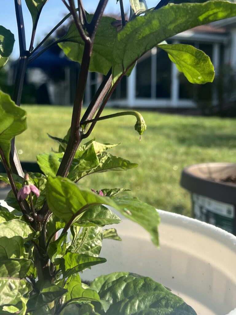 Omg it’s happening!