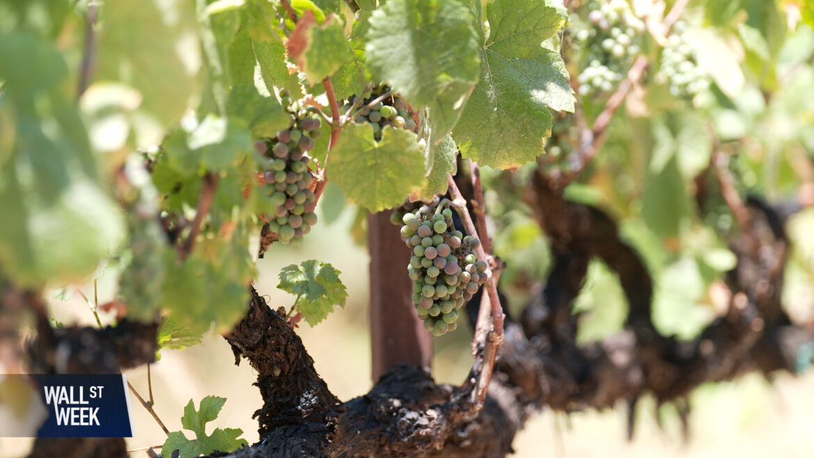 Watch Wine Woes as President Trump’s Tariffs Loom