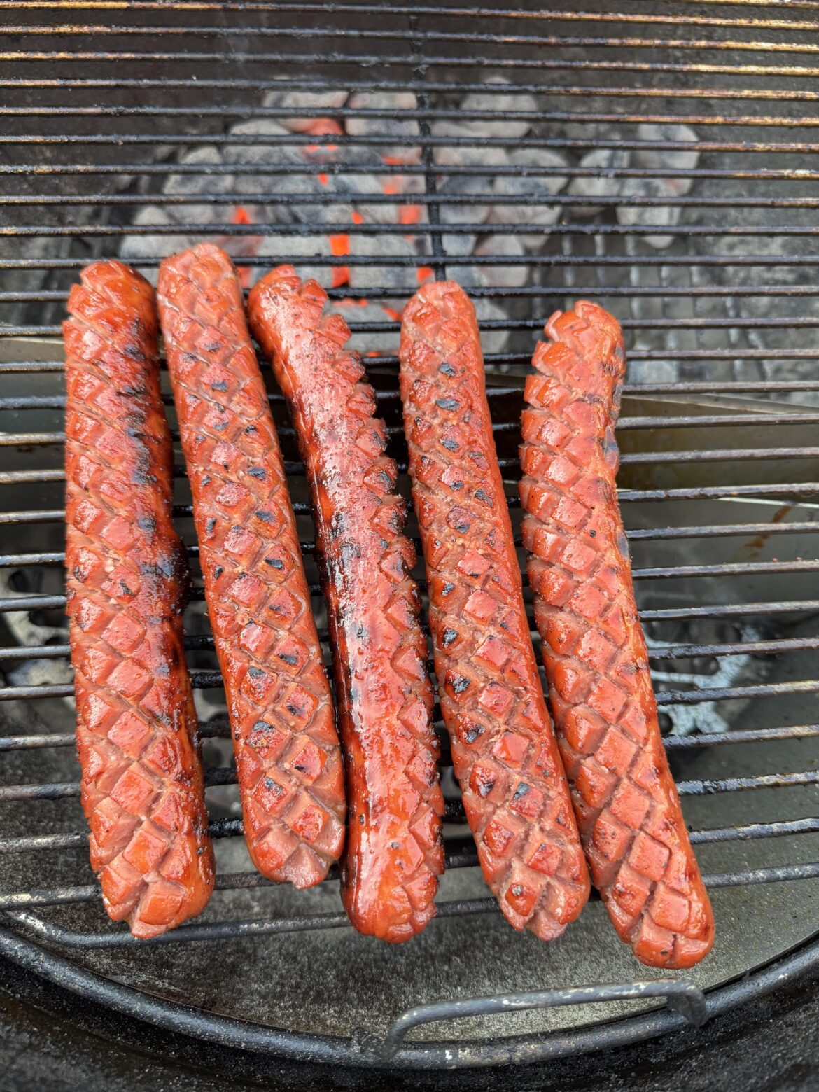 Ain’t no Better Dog than A Slot Dog