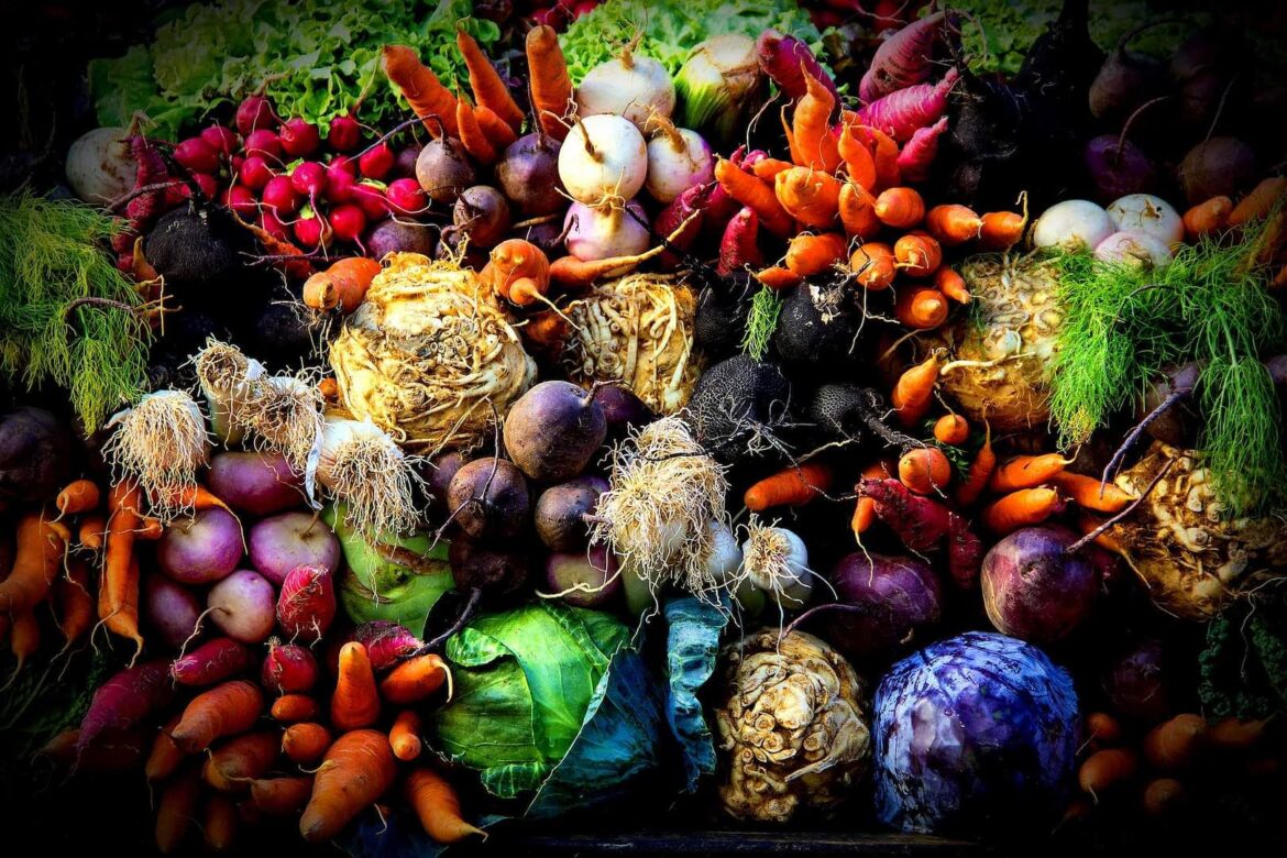 New Book Serves as Daily Guide for Following the Mediterranean Diet