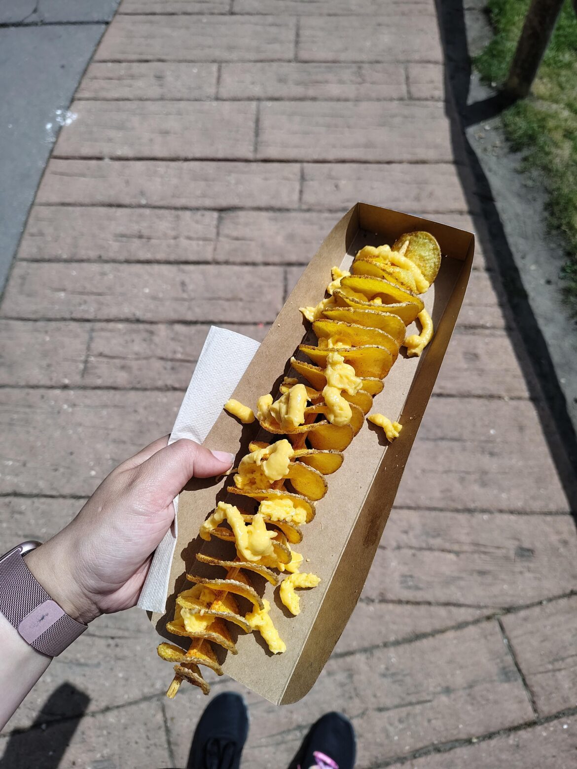 This potato spiral with "cheese style sauce" that I got at a theme park