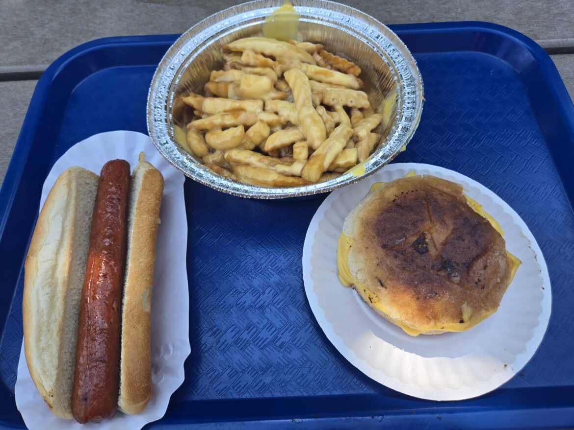 Enjoyed a grilled cheese on a hamburger roll for lunch