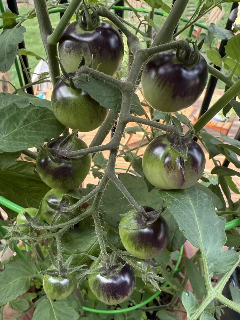 The wait is torture!