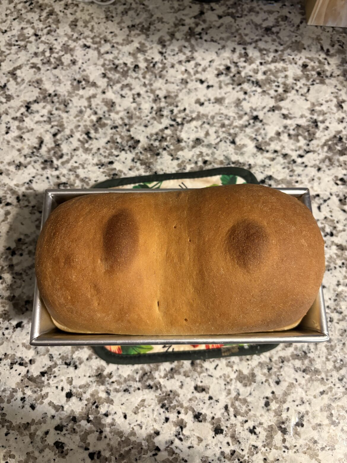 my bread turned out… interesting