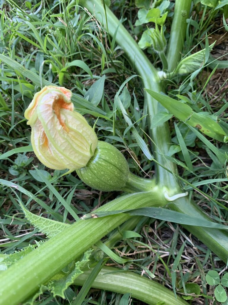 Things are about to get crazy!