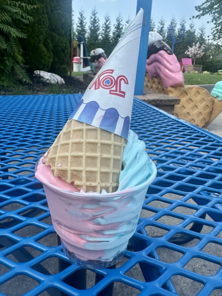 Cotton Candy soft serve! Bordentown Creamery, NJ