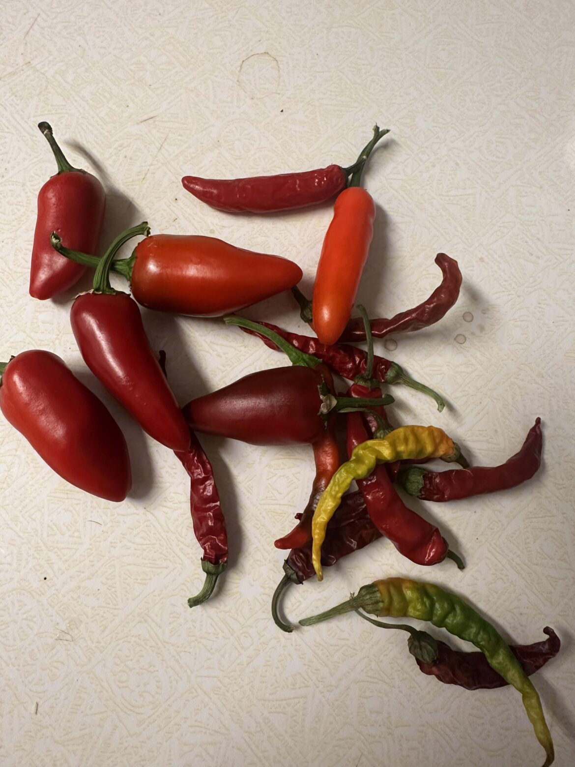 I grew peppers. Now what?