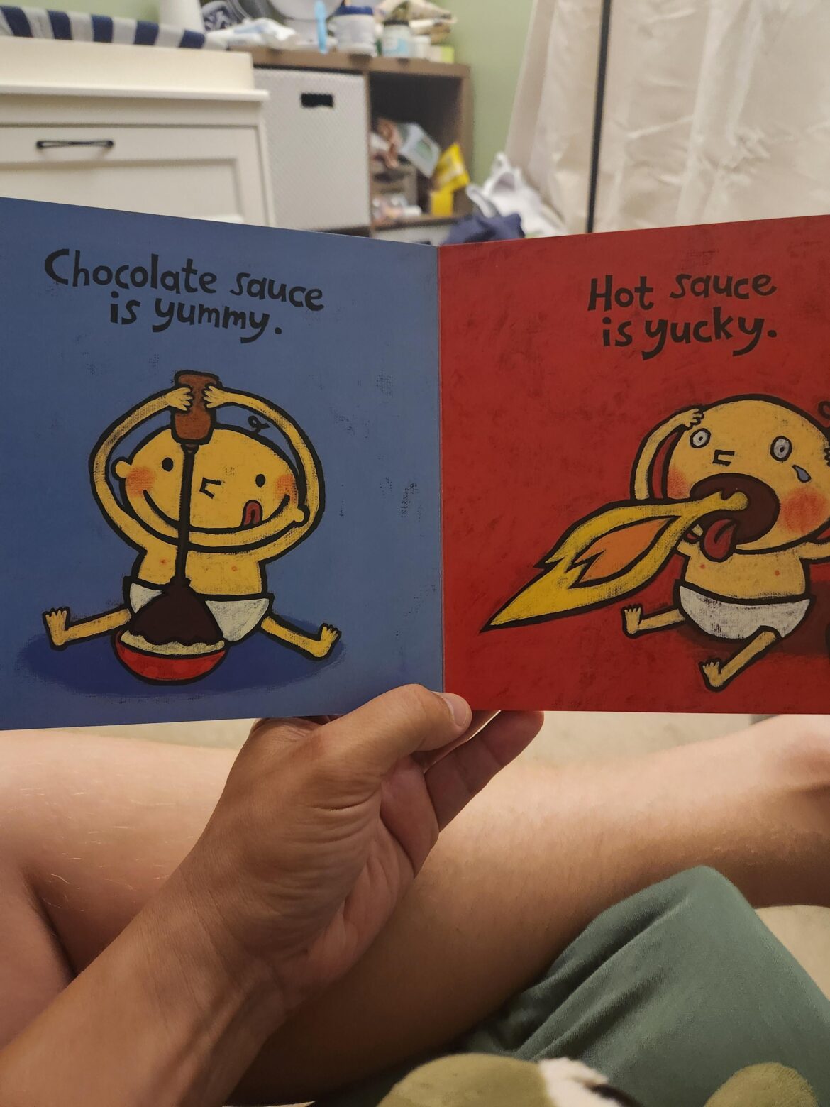 This kids book is filled with lies
