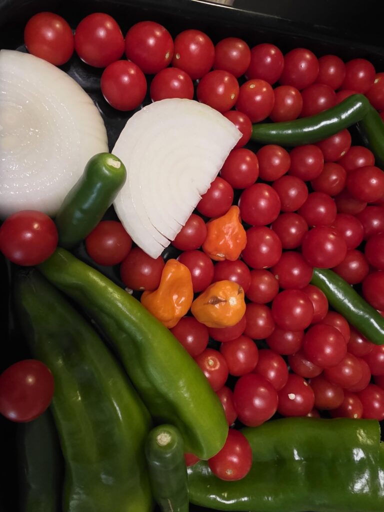 Roasted tomato salsa