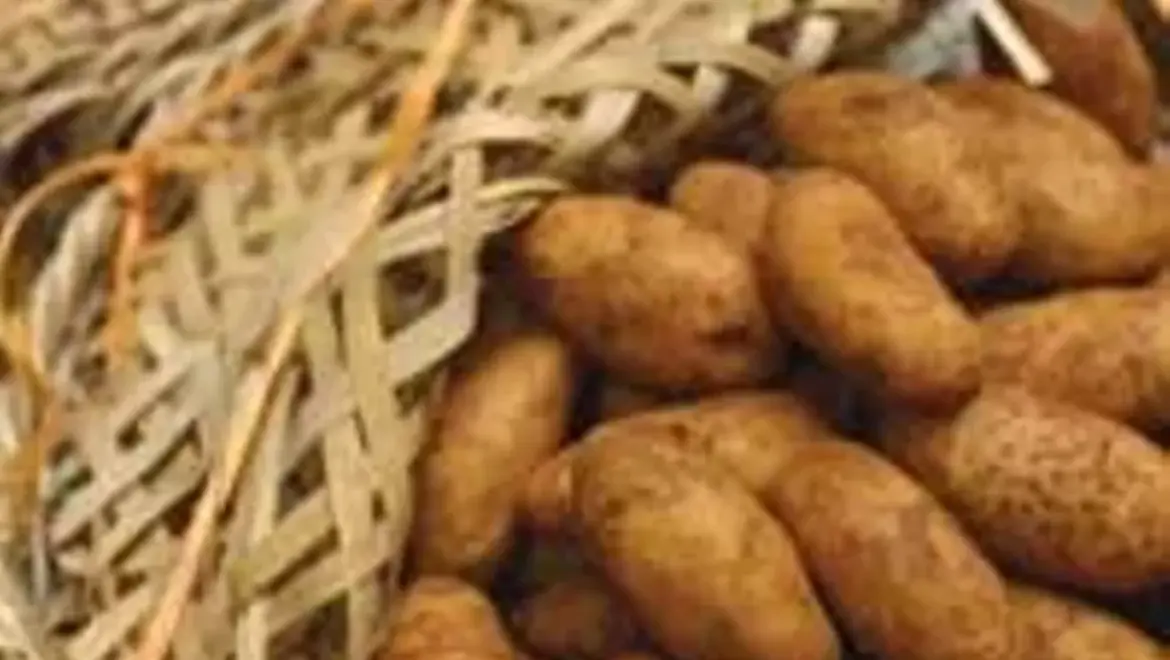 Cullers french fries | Illinois Times Cullers french fries | Illinois Times