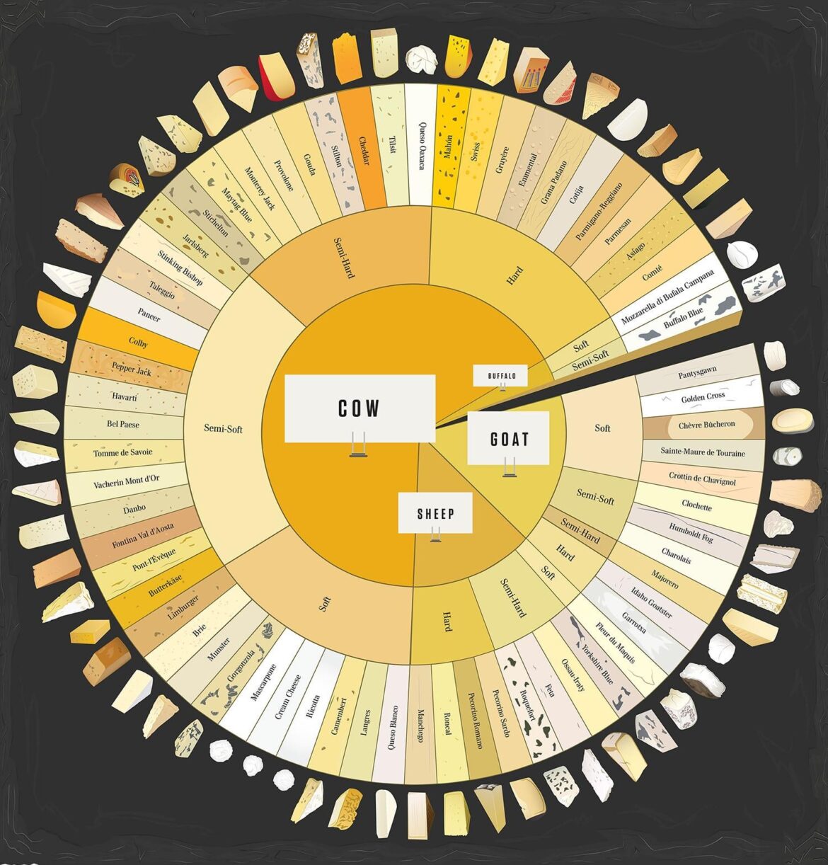 Cheese wheel with 66 different varieties