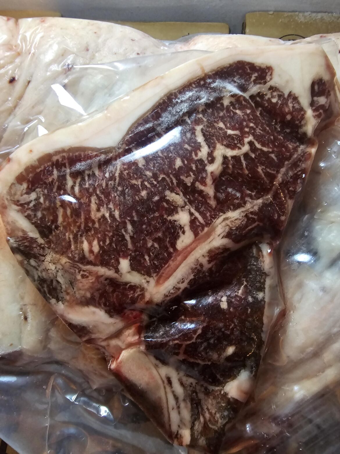 American wagyu i raised